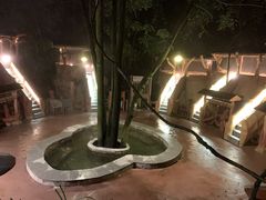 -天门沟九州驿站树上汤泉