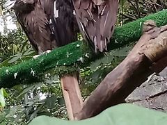 -鄂尔多斯野生动物园