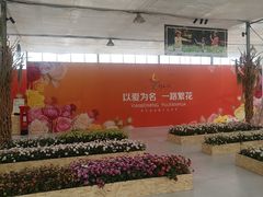 -上海鲜花港