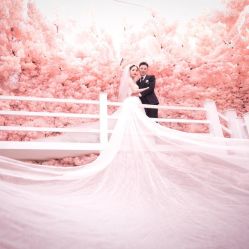 -金夫人婚纱摄影(总店)