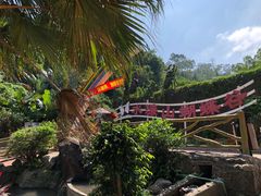 -水濂山森林公园