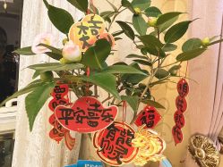 -奕美功能性体态调整·塑型·产后恢复(永利国际店)