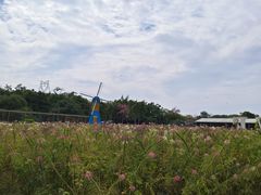 -广东花都香草世界旅游度假区