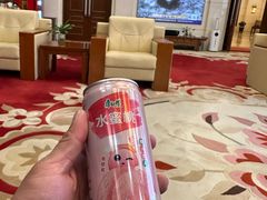 -济南遥墙国际机场-叁号贵宾厅