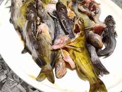 -华安国际大酒店-餐厅