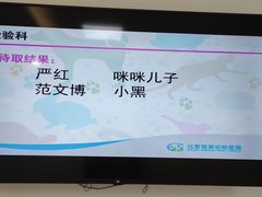 -北京观赏动物医院·24小时大型综合·猫专科·异宠专科