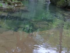 -白云源风景区