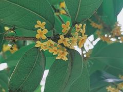 -长乐公园游乐场