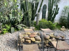 -自由生长植物工作室(深港花卉中心店)