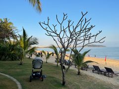 -三亚海棠湾万丽度假酒店