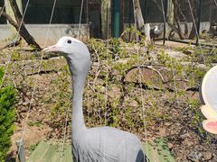 -大连森林动物园