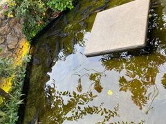 -大理老字号·舟渔的鱼野生菌海景餐厅(双廊店)