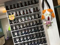 -猫咪博物馆(顶澳仔猫街店)