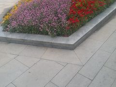 -二沙岛艺术公园