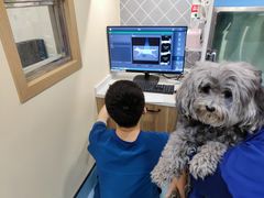 -萌兽医馆·犬猫专科·眼科中心·宠物医院(朝阳门分院)
