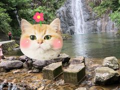 -白云源风景区