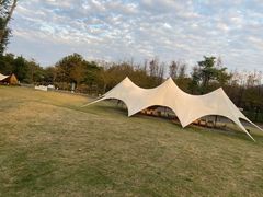 -森波拉奇妙世界