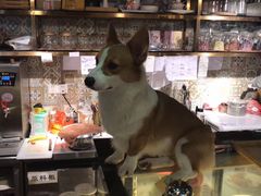 -more than meow吴止猫主题餐厅(承德 中船汇店)