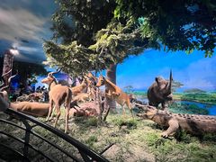 -国家自然博物馆