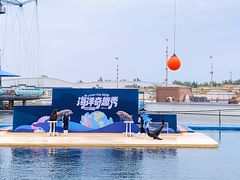 -秦皇岛乐岛海洋王国