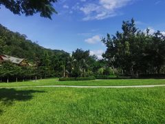 -野象谷景区