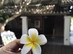 -喜洲吧·江畔老船厂·庭院餐厅(喜临院店)