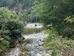 -黑河国家森林公园