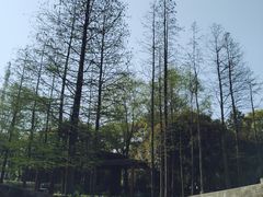 -宝界山林公园