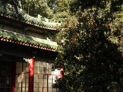 -灵谷景区