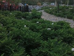 -太阳宫公园