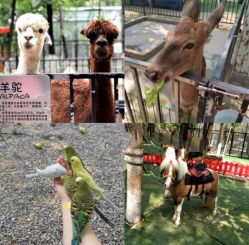 -萌宠亲子动物乐园(槐房万达店)