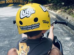 -圣淘沙天际线斜坡滑车