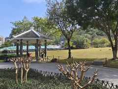 -火炉山森林公园