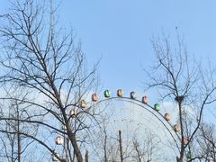 -洋湖国家湿地公园