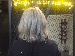 -SALON V