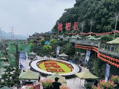 -枇杷园食为鲜火锅(南山店)