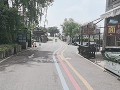 -空港花田景区