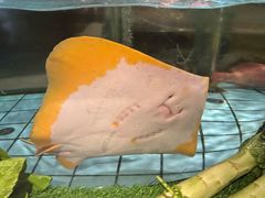 -荣小馆(安达仕店)