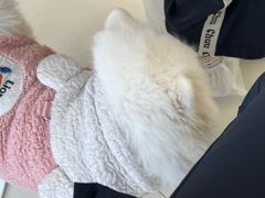 -怪兽屋·羊驼·猫咖·狗咖(俊华广场店)