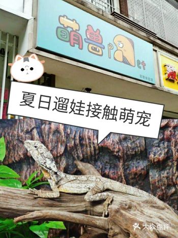 南京遛娃|遛娃撸宠最佳去处来喽