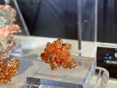 -中国地质博物馆