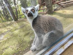 -哈尔滨北方森林动物园