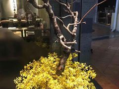 -呷哺呷哺(松江开元店)