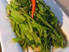 秘制虾酱炒空心菜-帕蓝·暹罗料理(曲阳店)