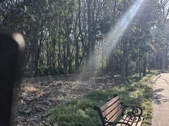 -昆山城市生态森林公园