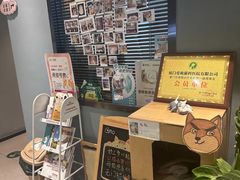 -御宝贝·A梦猫科宠物医院(国际猫友好医院)