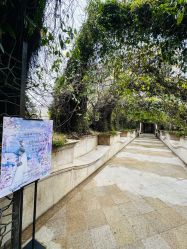 点击看大图 -伯衡55·宴会厅