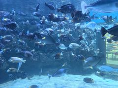 -海合安成都极地海洋公园