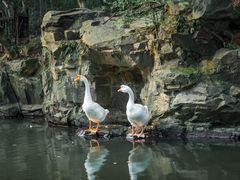 -兰亭风景区