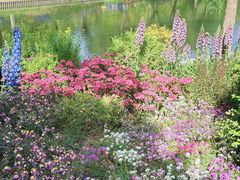 -上海鲜花港